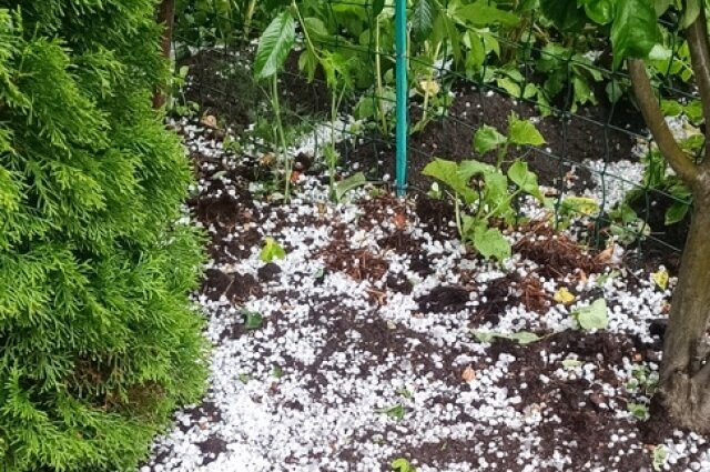    Фото: Из архива/ ИА «Новости Осташков», Владимир К