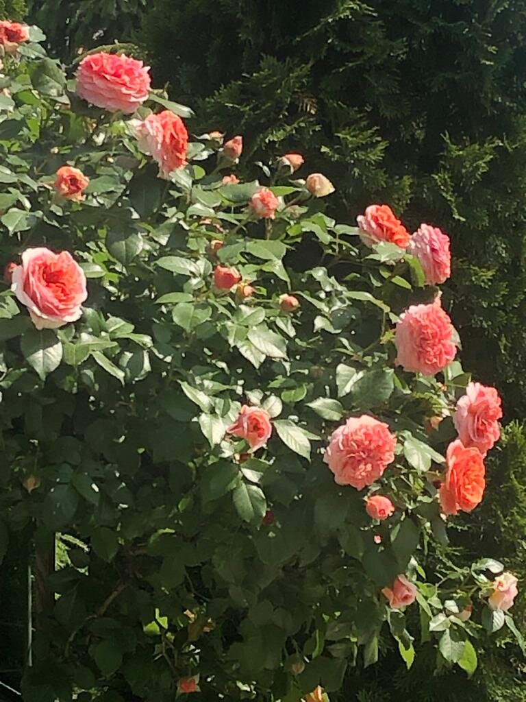 Фото моих друзей