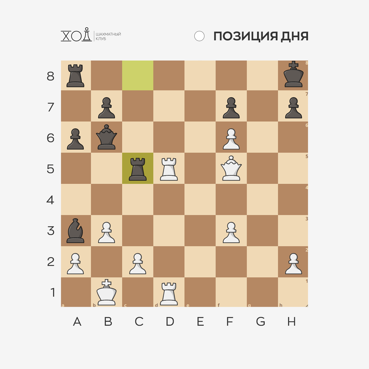 Шахматы в Пятигорске