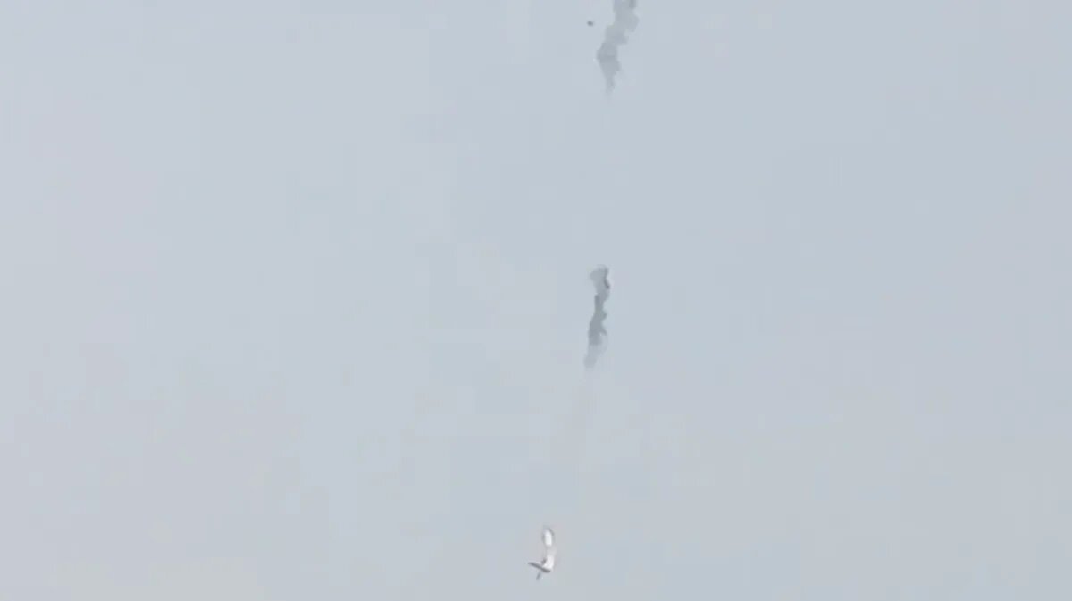 А 50 самолет сбит. Сбитый самолет в Воронежской области.