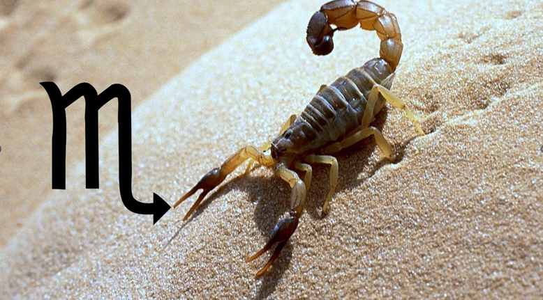 Женщина скорпион в постели: совместимость - masculan