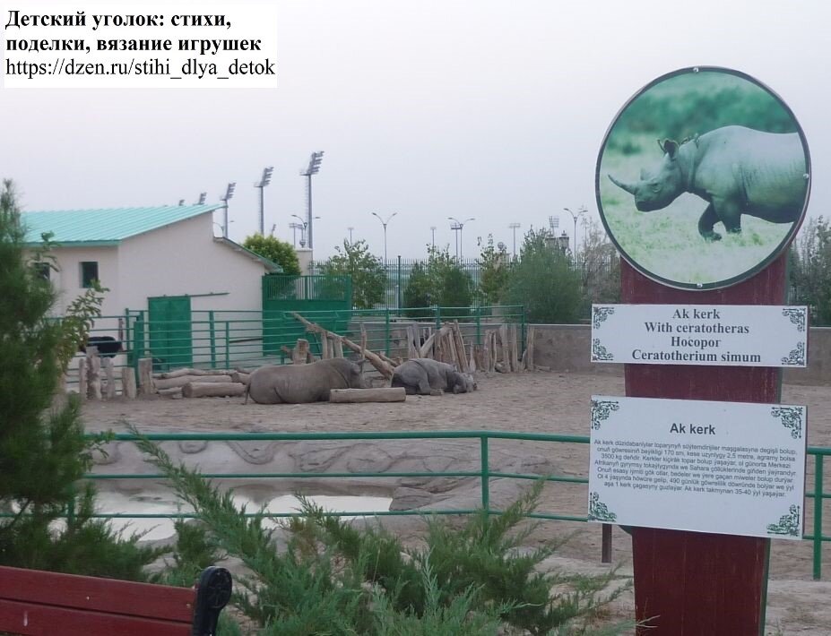 Носороги в Музее живой природы