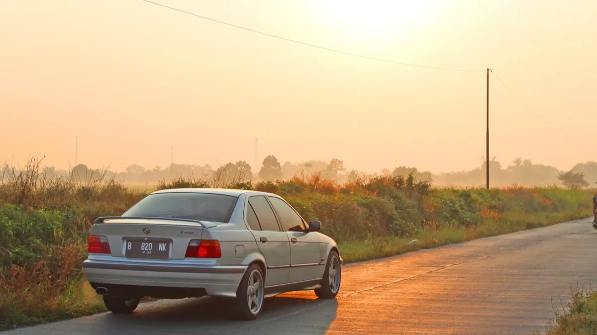 Фото: pxhere.com