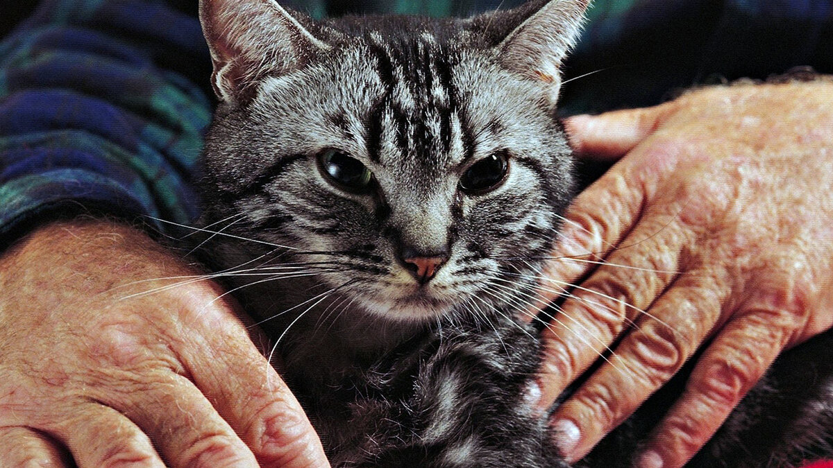 источник фото: krasivosti.pro