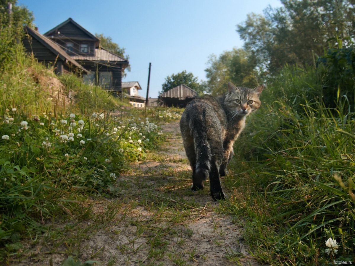 �������� ����: catalog-photo.ru