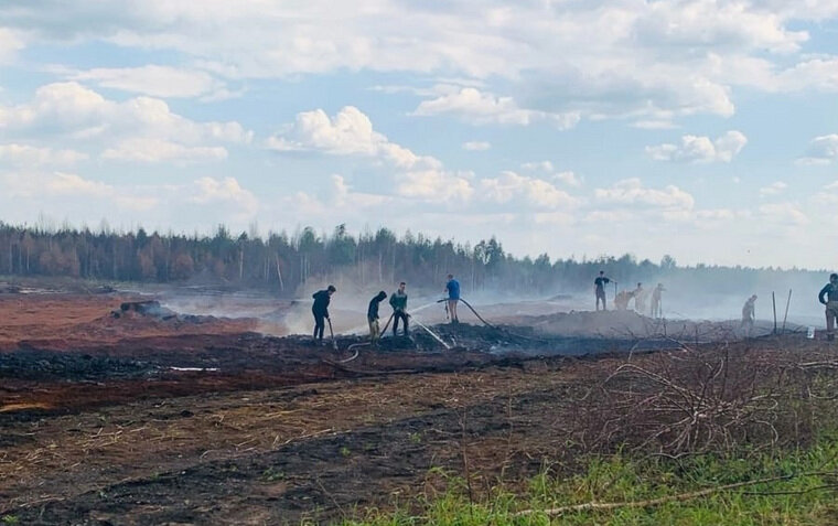    В Красноармейском потушили торфяной пожар