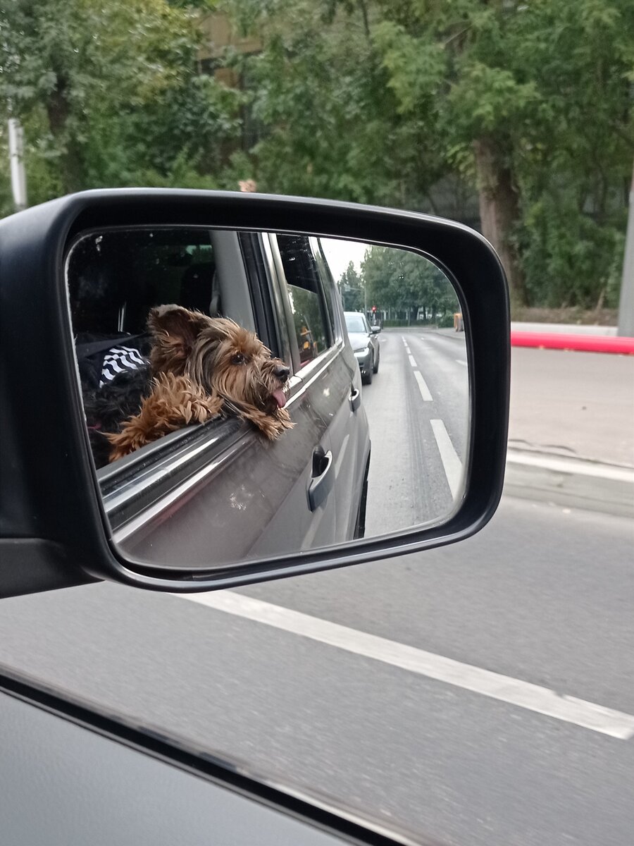 Мишутка с интересом смотрит на мир. 