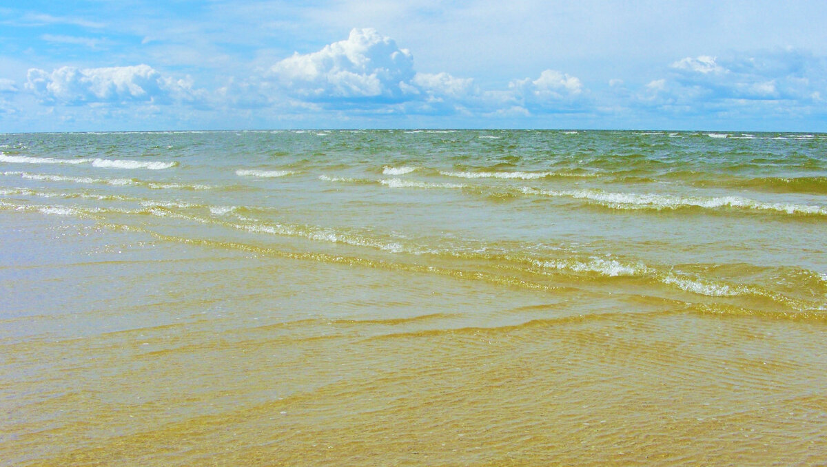 Морские пейзажи и море эмоций на Чудском озере (листаем карусель)