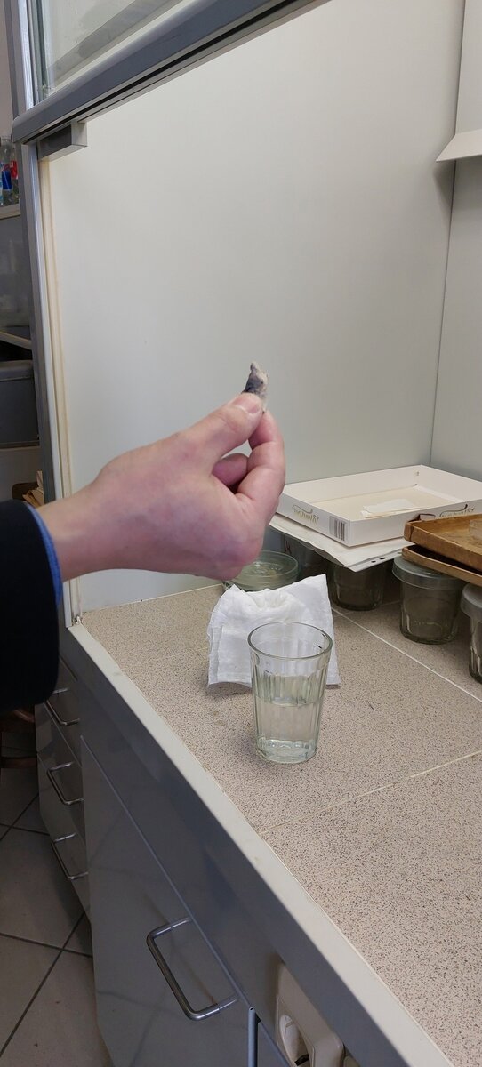 Кусочек карбида бросаем в воду.