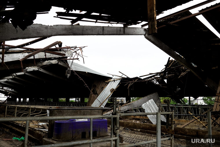    Денис Пушилин показал кадры разрушений в Артемовске