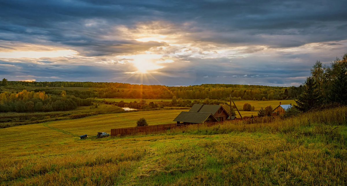 Яндекс картинки