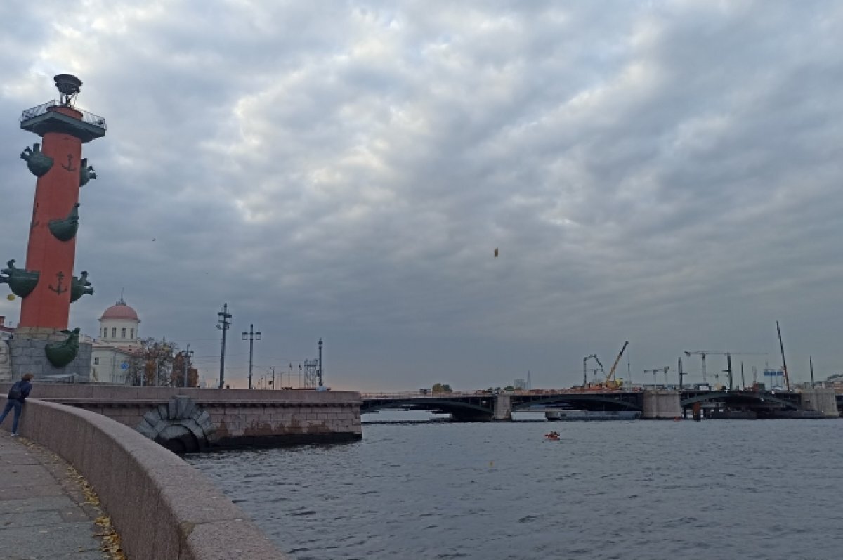    Из-за закрытия Биржевого моста общественный транспорт пойдет через В.О.