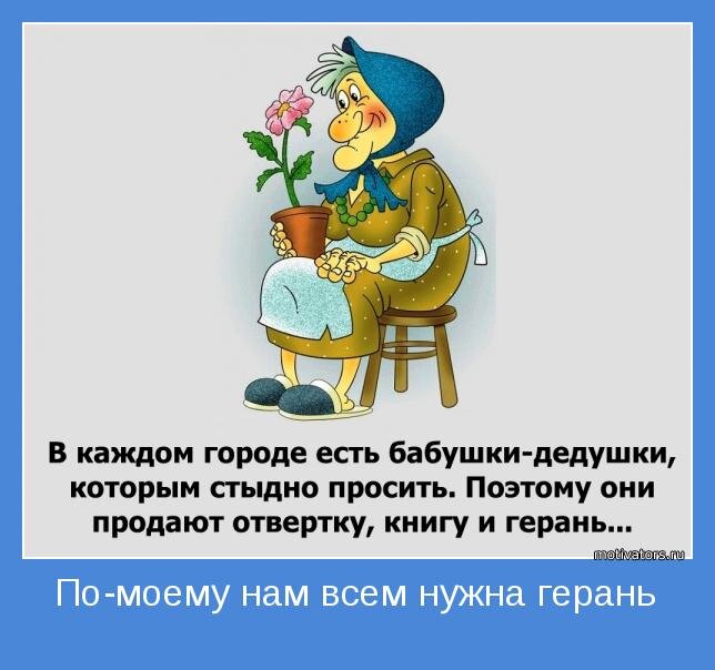 изображение из интернета