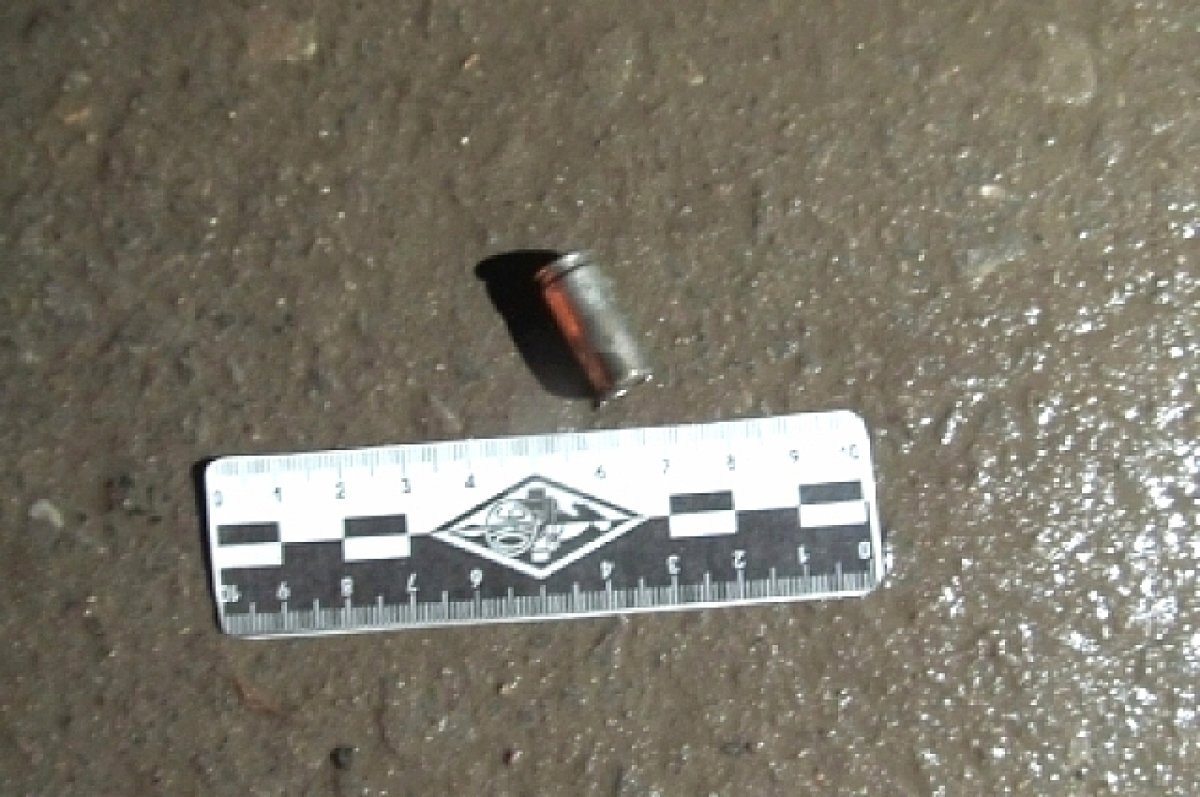    10 лет строгого режима дали убийце, которого искали на Дону с 2015 года