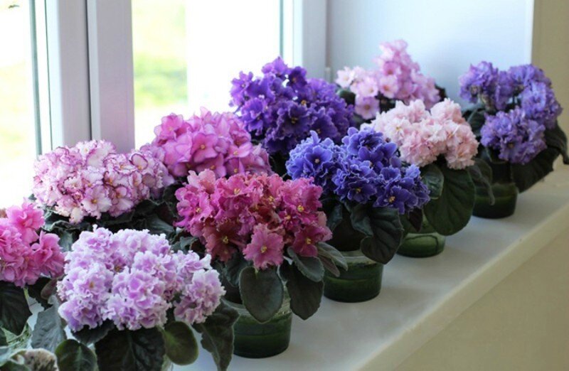 Фото из Интернета