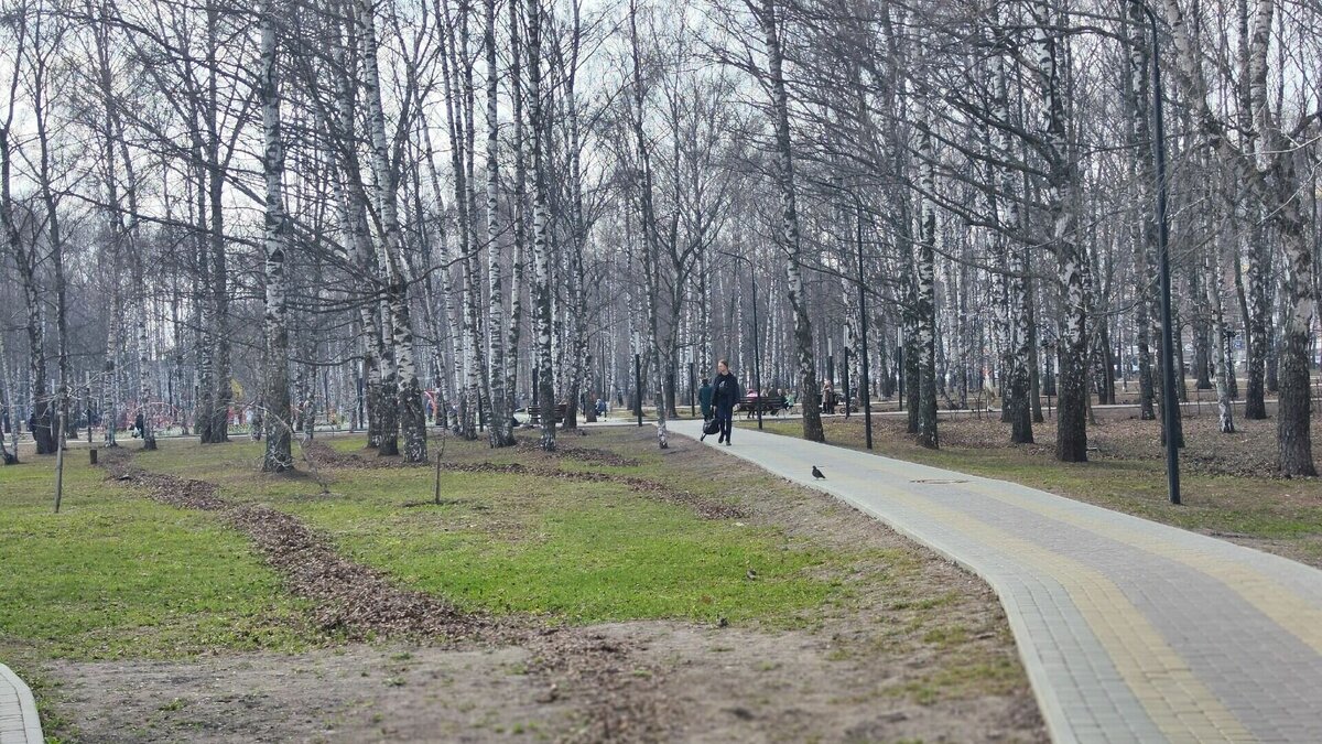 парк кулибина старые