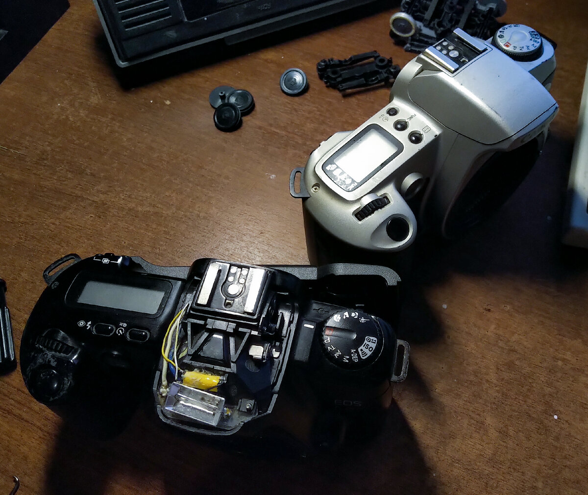 Опять мои любимые фото с телефона... 