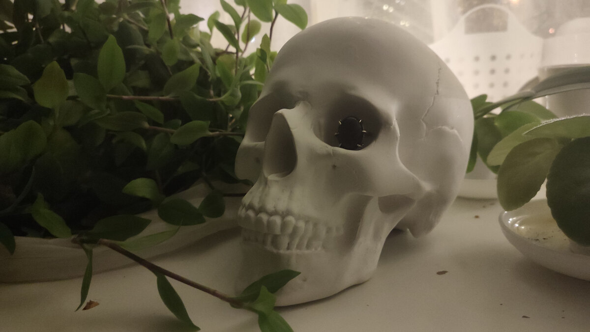 Я уже не представляю их друг без друга