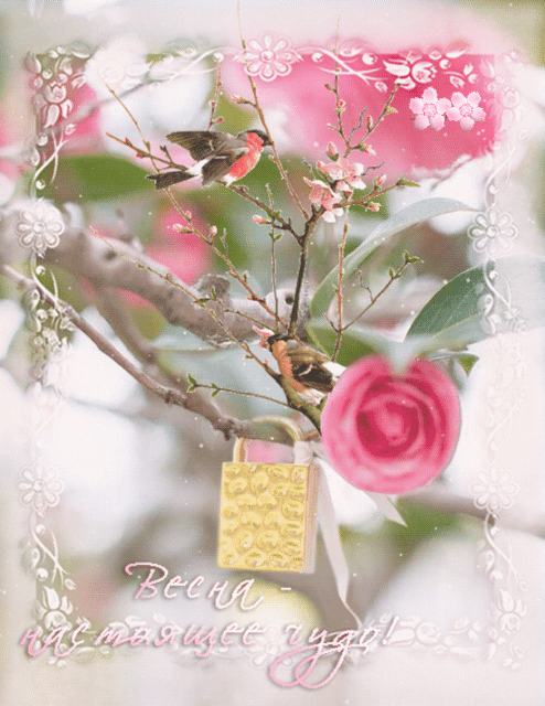 Источник: Яндекс картинки