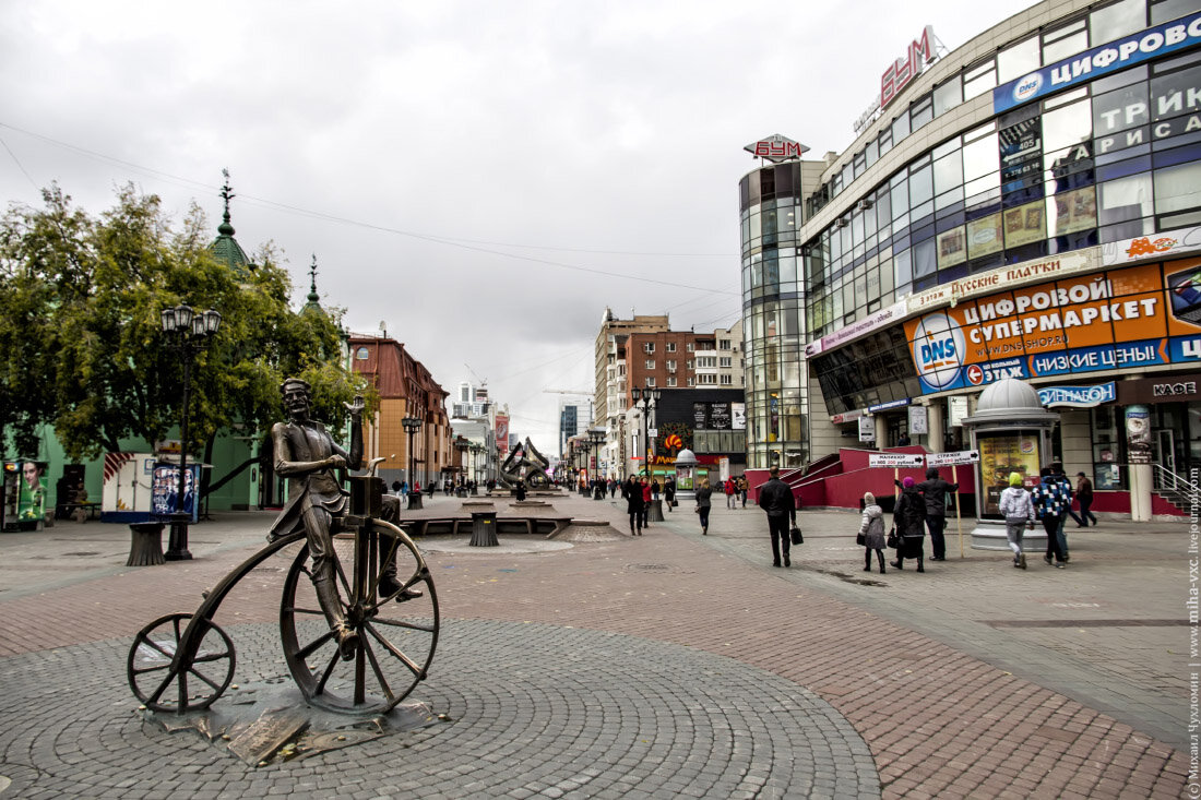 фото с яндекс картинки