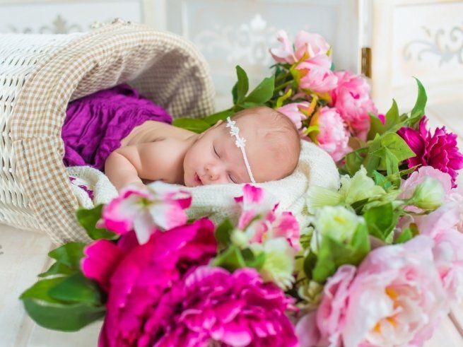 Яндекс картинки