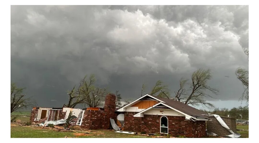 Ураган циклон смерч. Дерево на ветру. Сильный ветер. Сильный ветер в америке. Смерч даулатпур-сатурия.