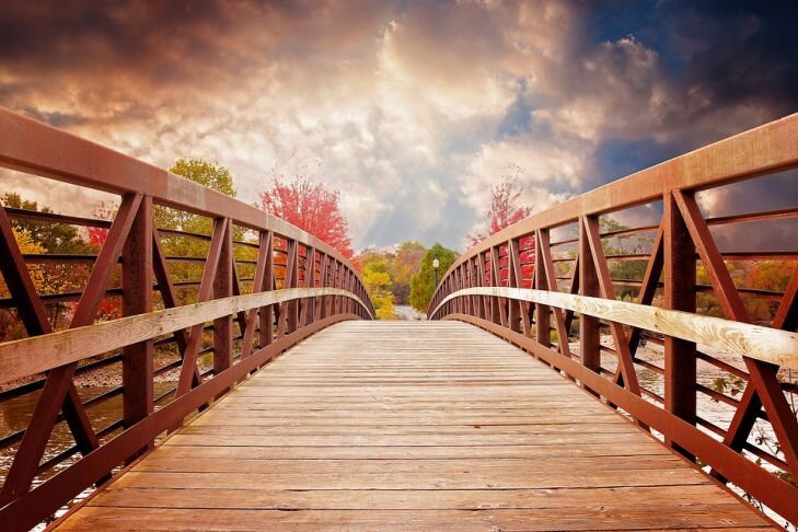Фото: Pixabay