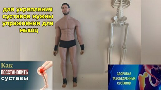 Плохо двигаются тазобедренные суставы и колени? Помогут специальные ...