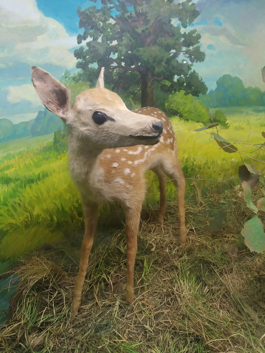 На фоне прекрасных ландшафтов