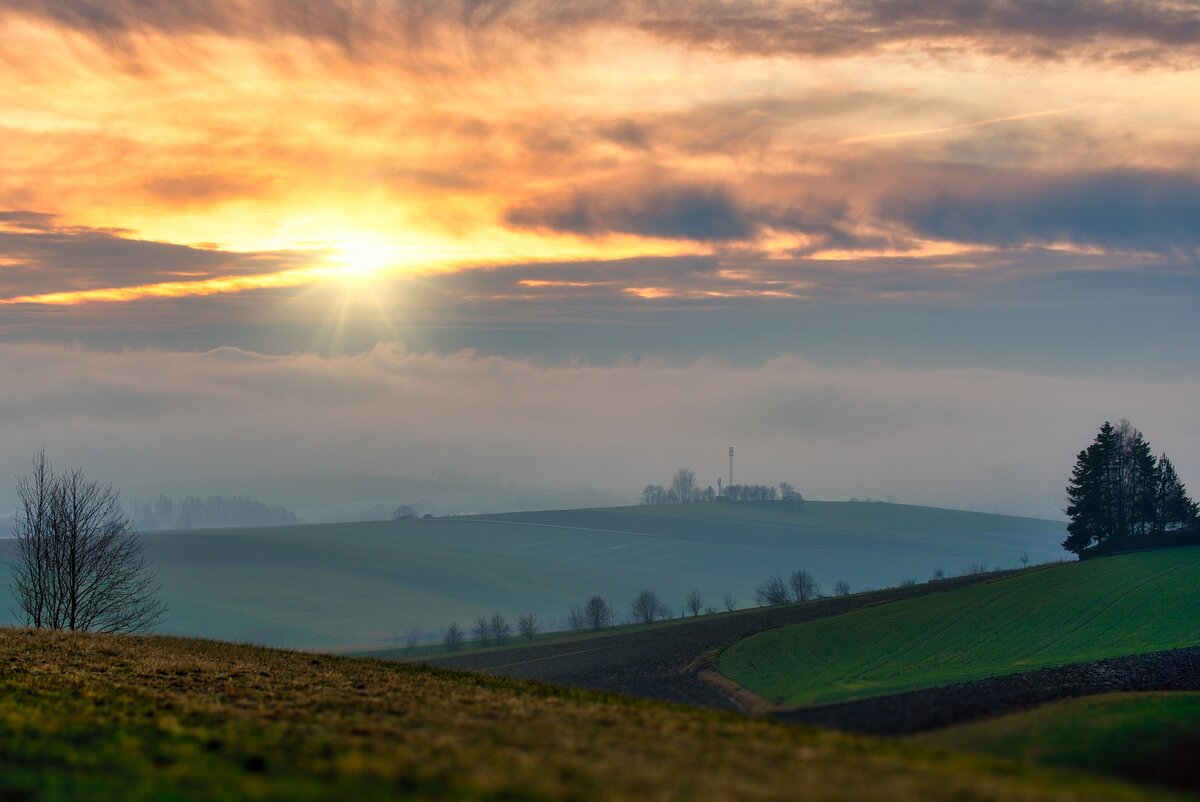 Фото с сайта pixabay.com