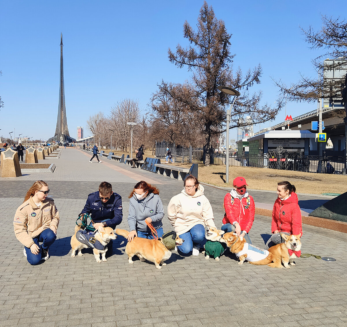 Корги в Космопарке