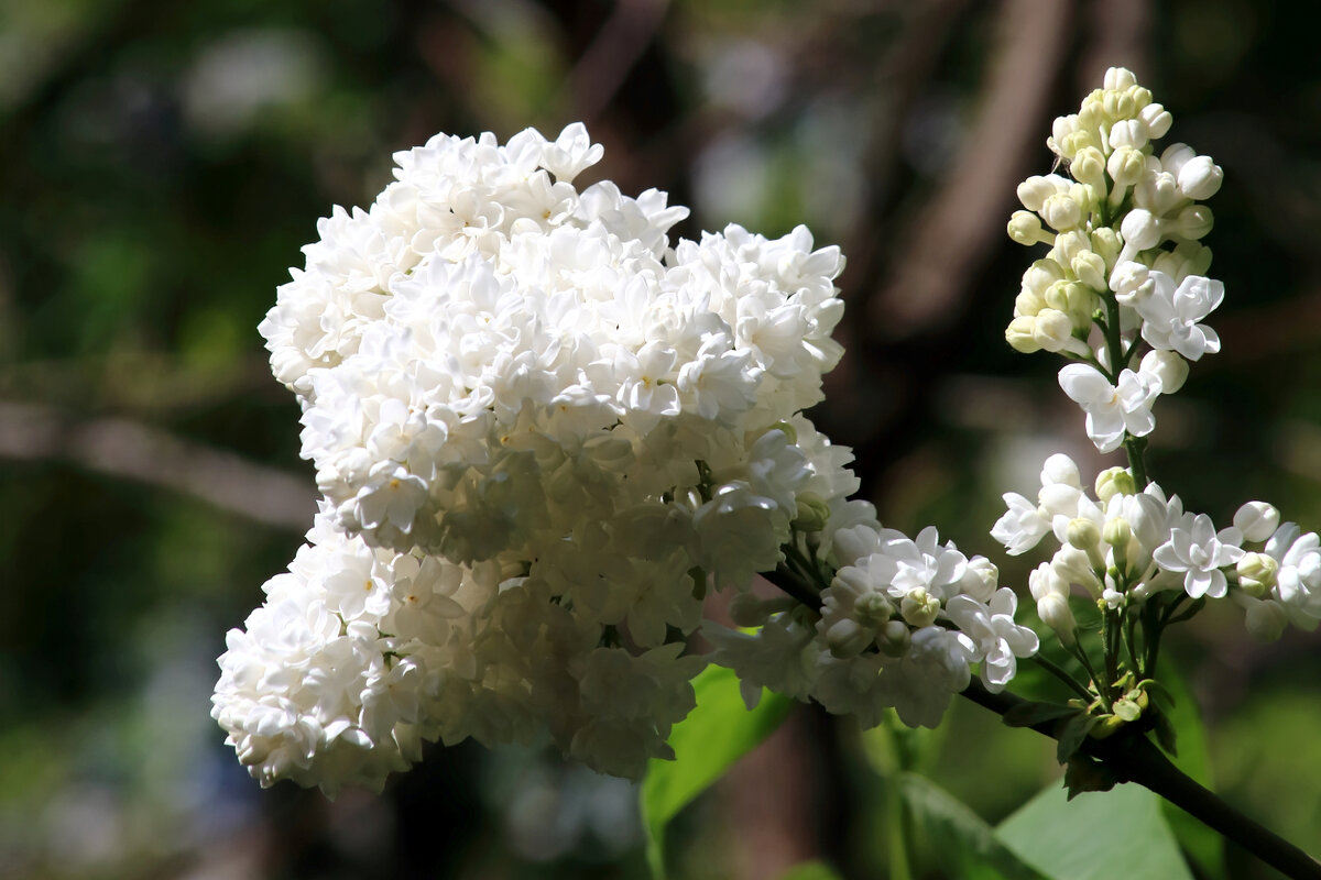 № 3 Фрагмент. F = 150mm,  1/1000