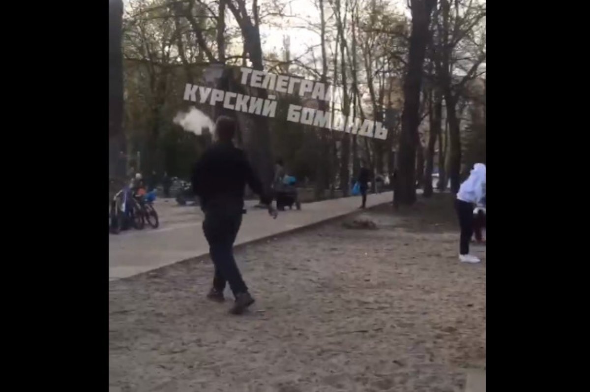    В курском парке курящие и матерящиеся дети выбили телефон у женщины