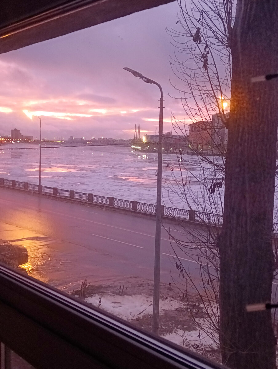 Фото автора. Вид из окна в сумерки в начале зимы. 