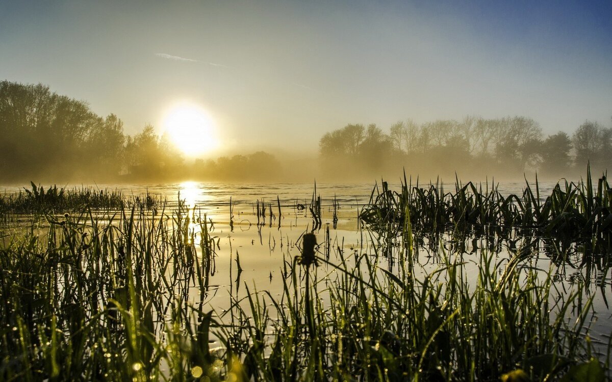 «Некоторые события прошлого мы храним где-то глубоко в своей памяти, по многу лет не вспоминая, а иногда начисто забывая о них. Другие же вспоминаются нами чаще, при встречах друзей и близких людей, чтоб в очередной раз вспомнив общее, объединяющее нас прошлое, подтвердить единение сегодняшнее». 