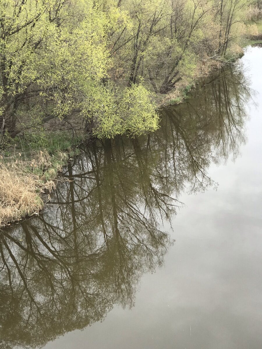 Все фото Автора канала.