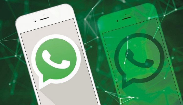    Долгожданная функция появилась в обновлении WhatsApp, которое уже можно установить на Android