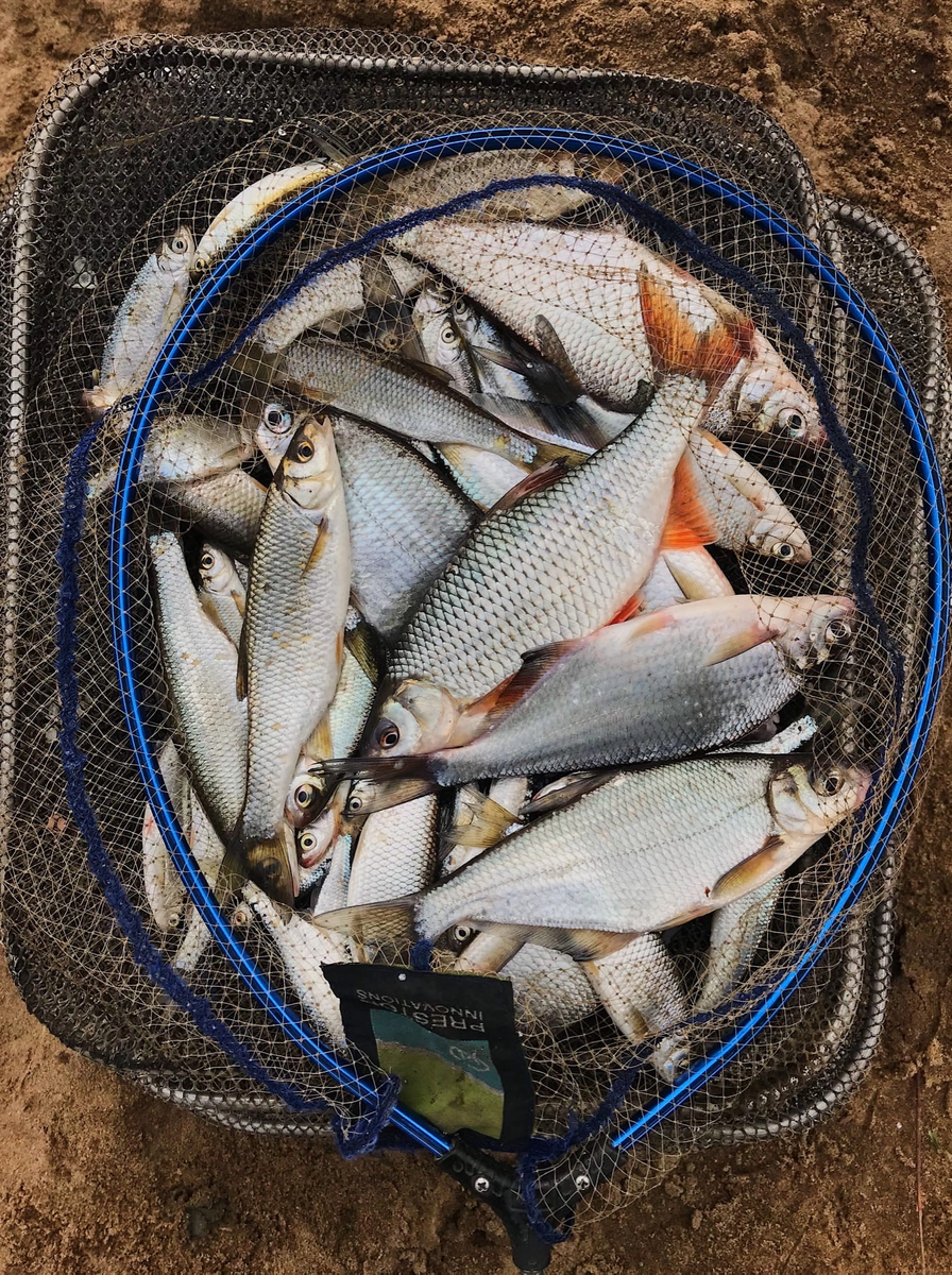 календарь рыбака 2021. ловля на месяц. рыба в реке. схема рыбной ловли по месяцам. Flagman areata 662ul.