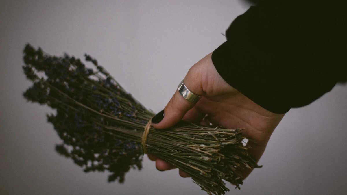 Фото: pxhere.com