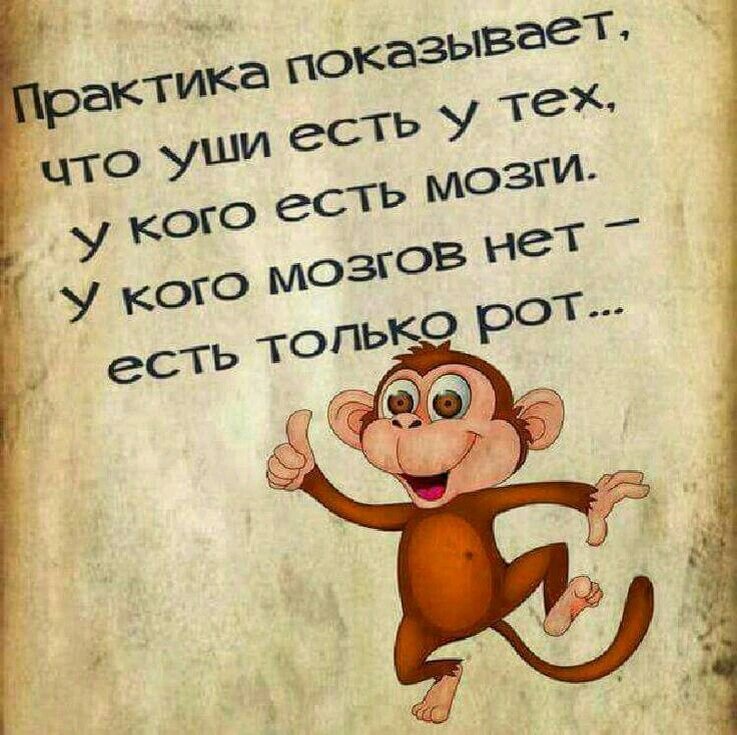 фото взято из Сети.