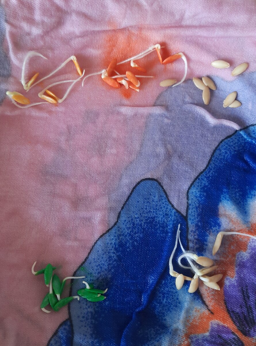 Ау, Герман?))))