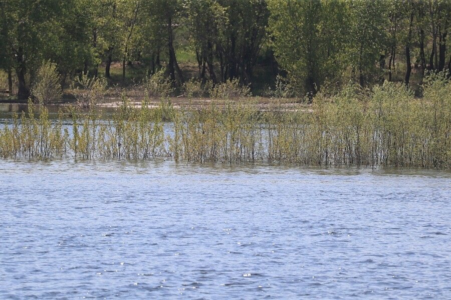 Волжский водный