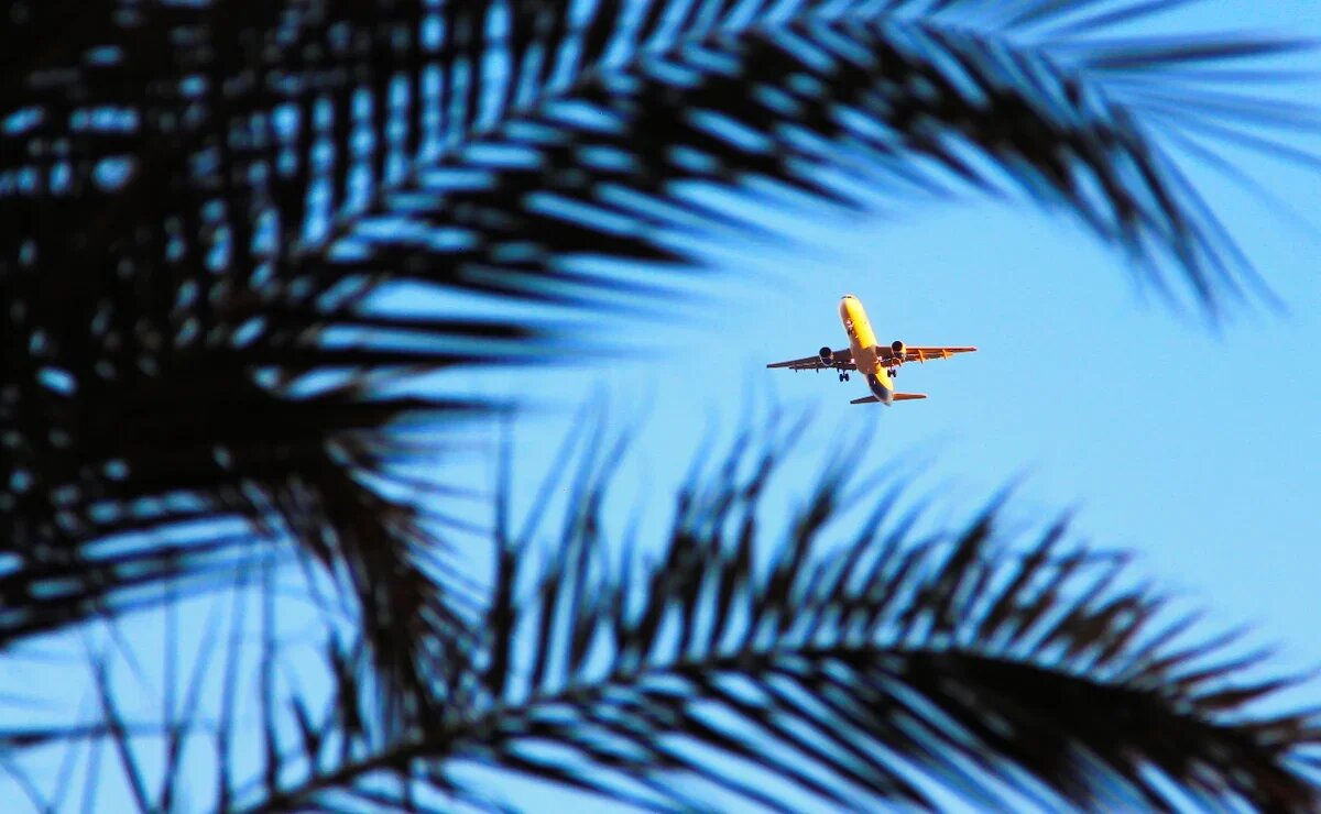   Туроператор Coral Travel ставит в Египет летнюю программу на рейсах AZUR air