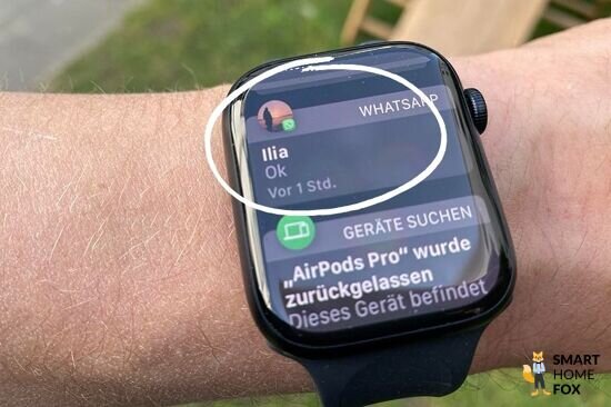 Apple Watch Smart Home Fox