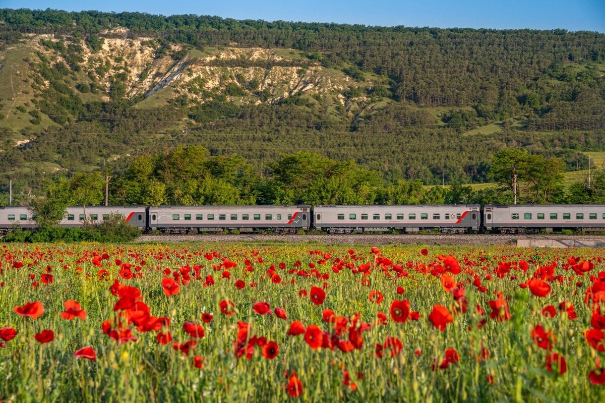 Поезд // Фото: пресс-служба компании «Гранд Сервис Экспресс»