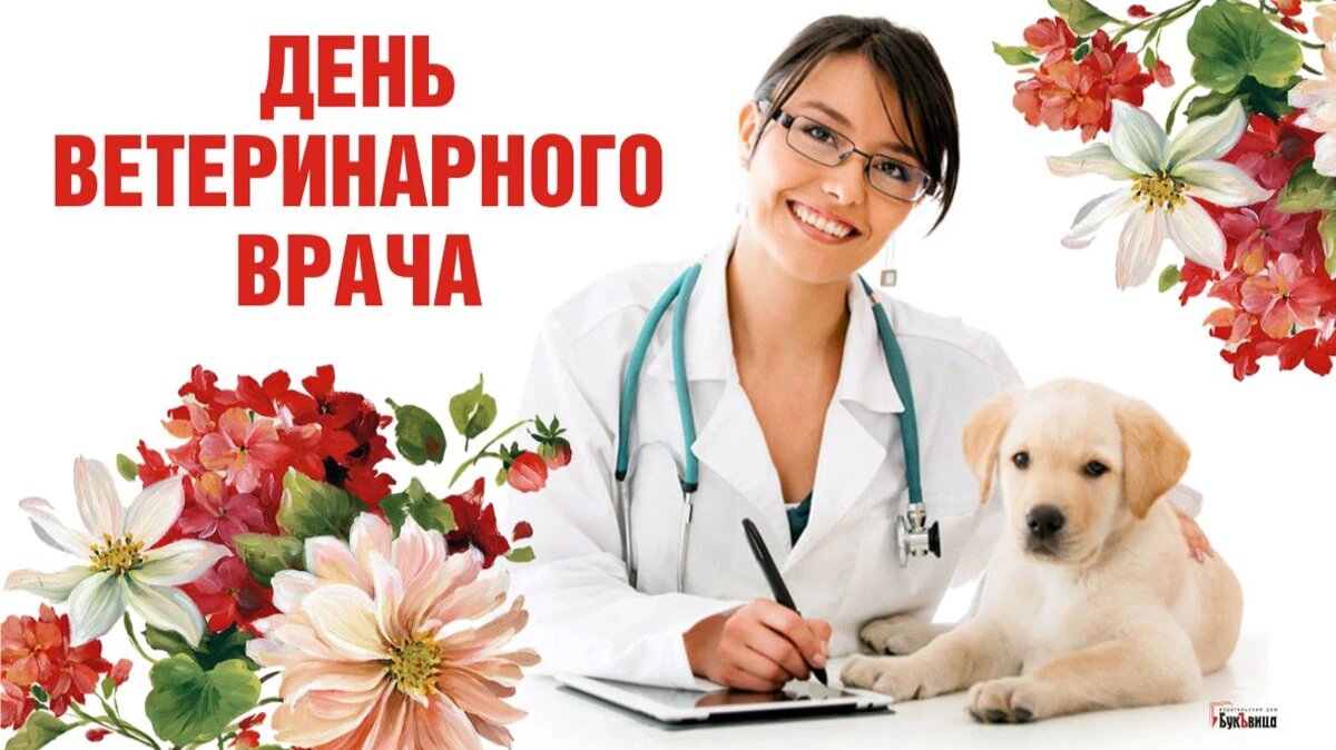 День ветеринара