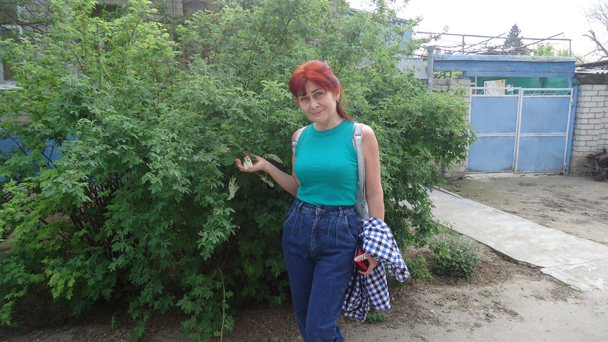 Держу за кисть виновницу холодов черемуху.  Фото автора.