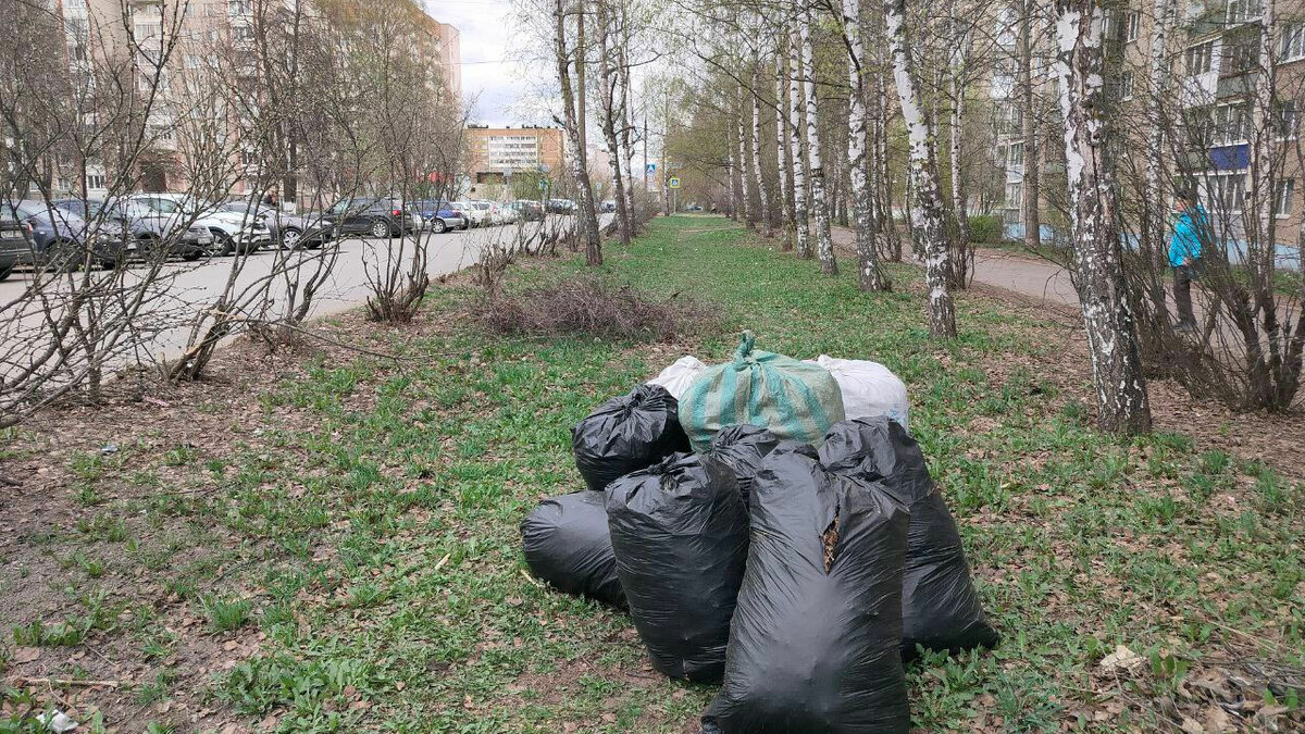 Можно ли вынести диван на мусорку во дворе