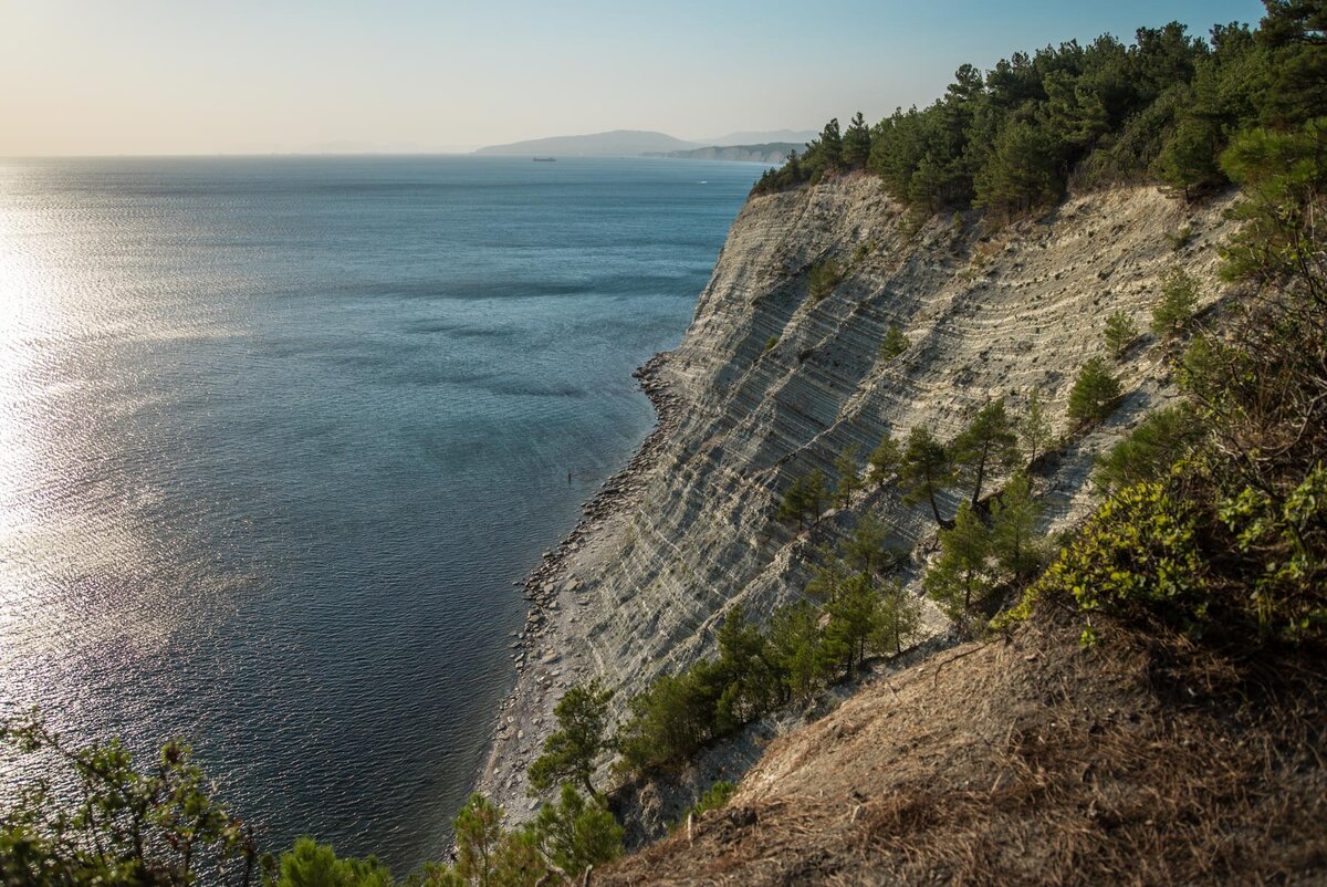 сосновый черное море