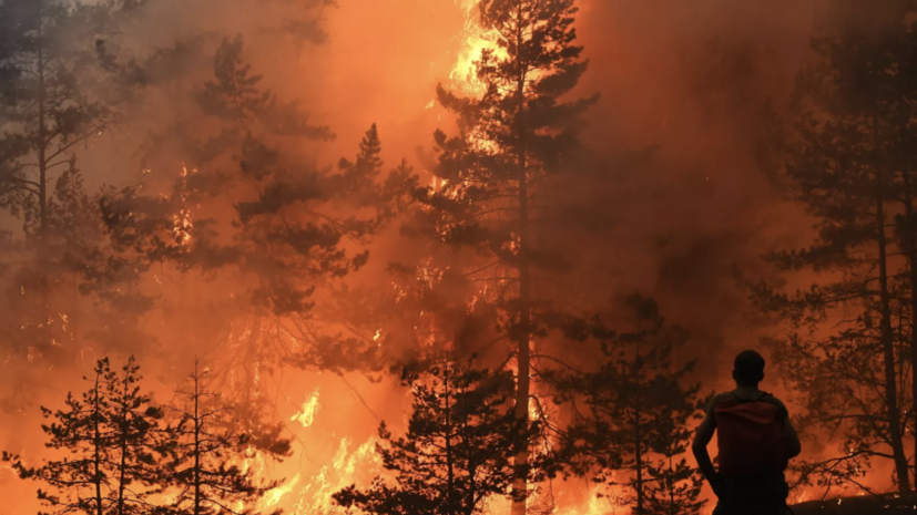   РИА Новости